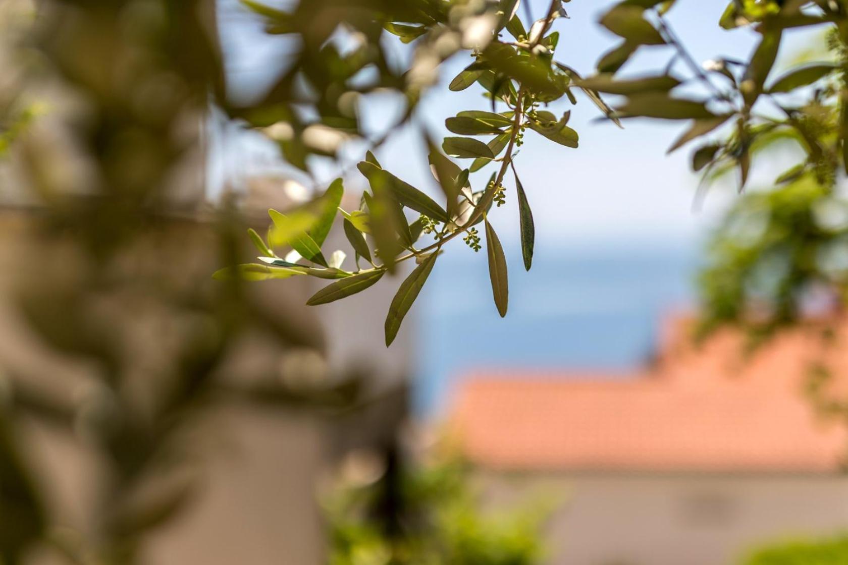 Apartments With A Parking Space Baska Voda, Makarska - 301 Luaran gambar
